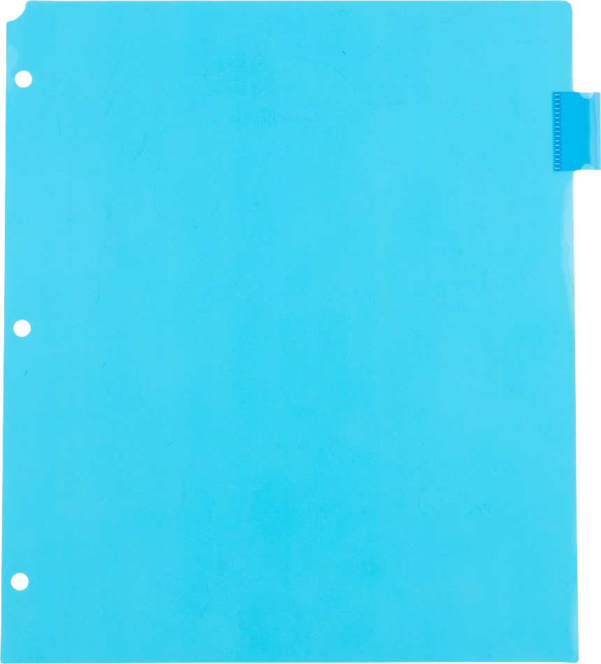 Assorted Plastic 8 Tab Binder Index Dividers