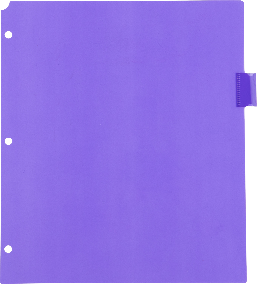 Assorted Plastic 8 Tab Binder Index Dividers