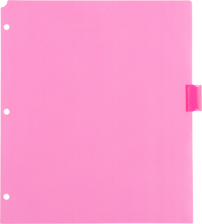 Assorted Plastic 8 Tab Binder Index Dividers