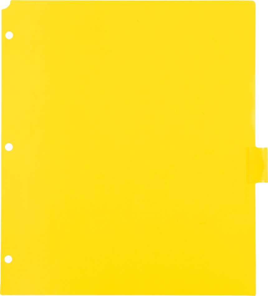 Assorted Plastic 8 Tab Binder Index Dividers