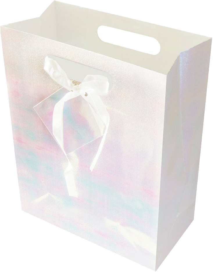 White Large Holographic Gift Bags (10 x 13 x 5)