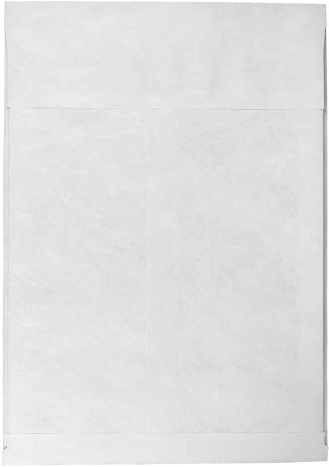 White 14lb 12 x 16 x 2 Open End Envelopes with Peel & Seal