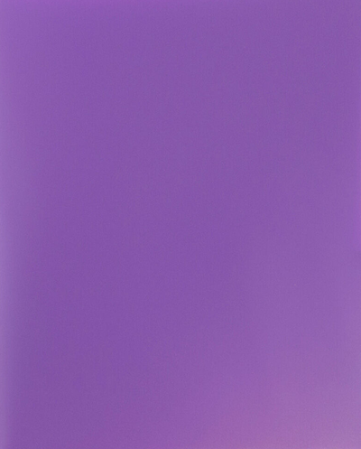 Purple 9 x 12 Plastic Pop Folders