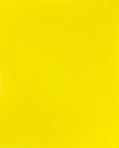 Yellow 9 x 12 Plastic Pop Folders