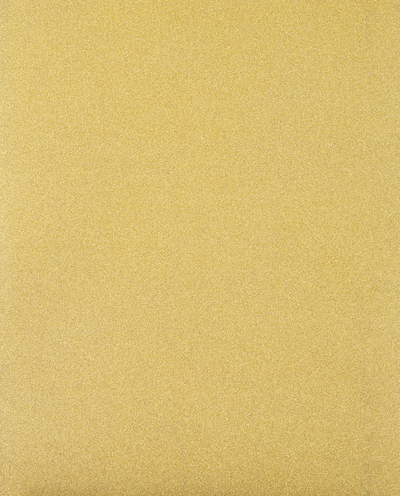 Assorted Primary 9 x 12 Glitter Folders - 6 Pack