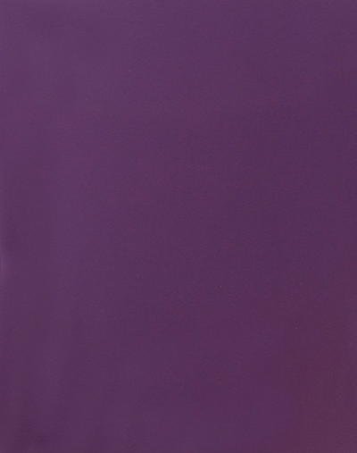 Glossy Purple 9 x 12 Standard Folders