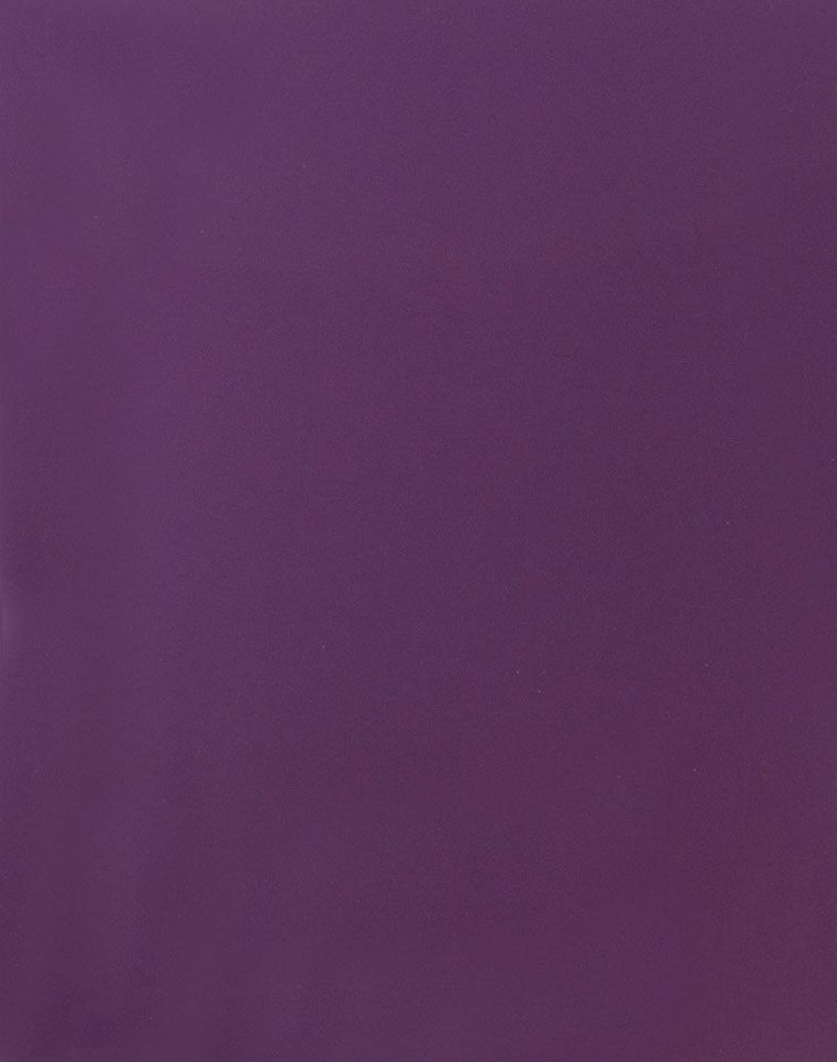 Glossy Purple 9 x 12 Standard Folders