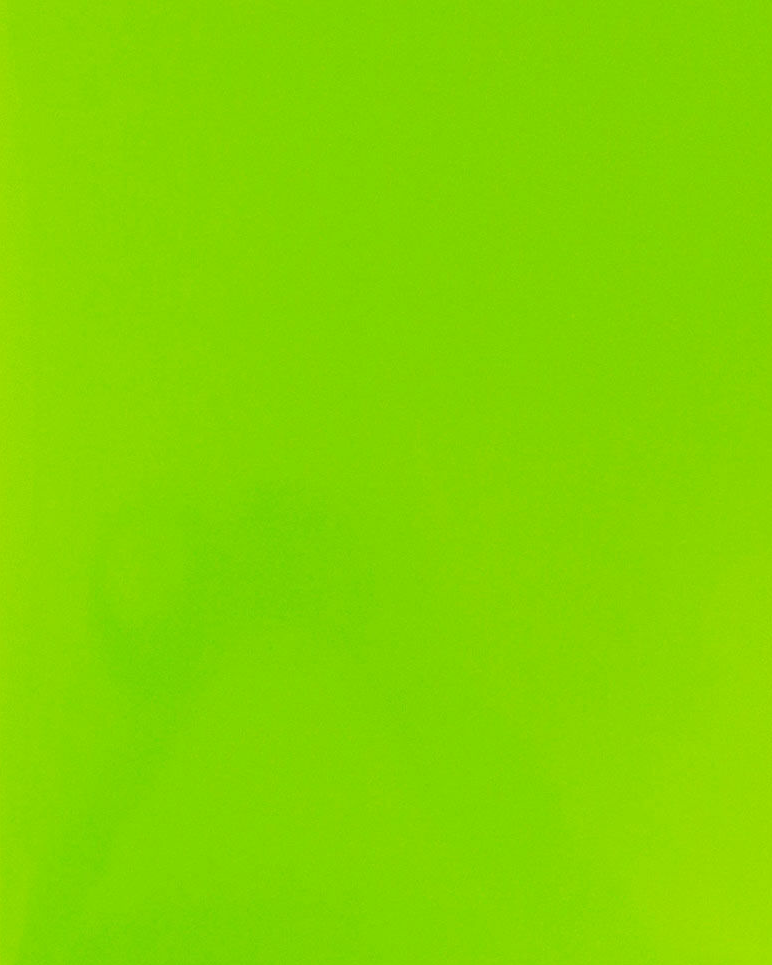 Glossy Lime Green 9 x 12 Standard Folders