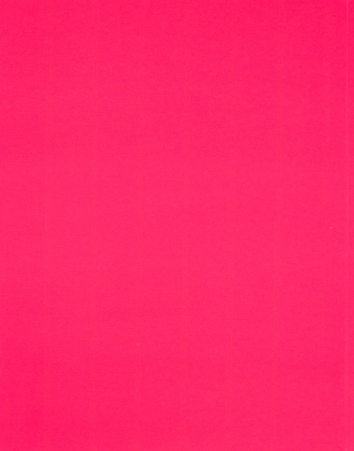 Glossy Hot Pink 9 x 12 Standard Folders