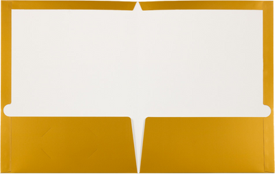 Glossy Gold 9 x 12 Standard Folders