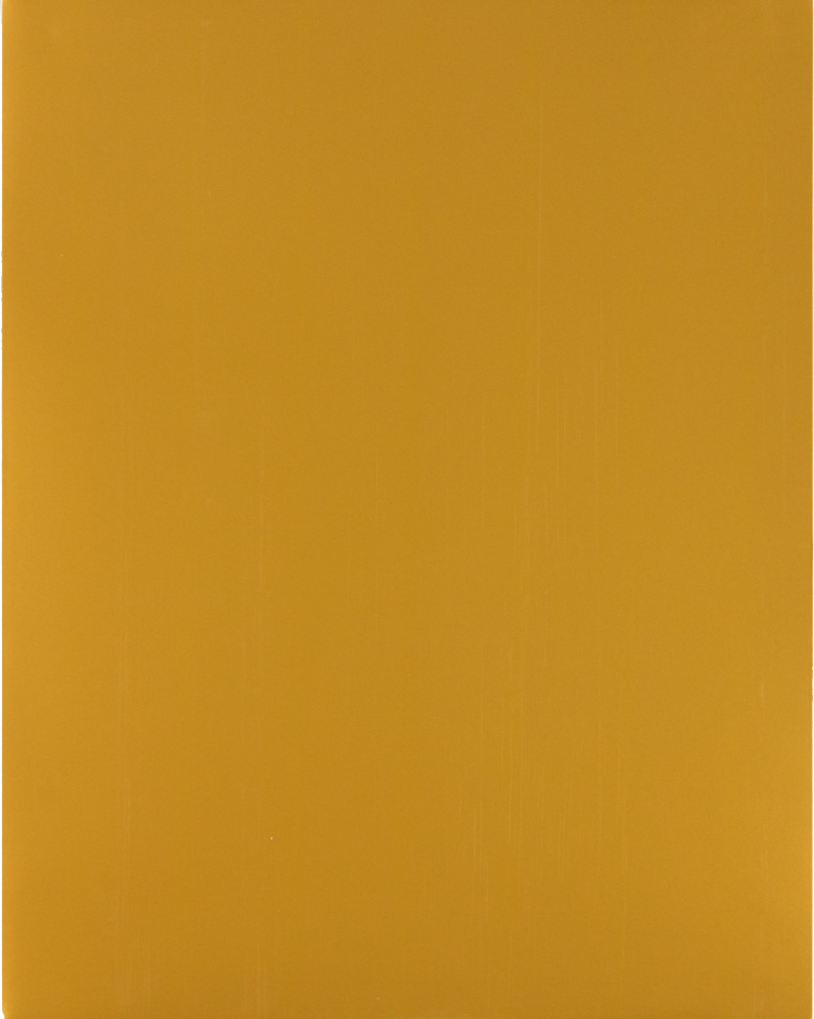 Glossy Gold 9 x 12 Standard Folders