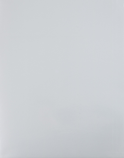 Glossy Silver 9 x 12 Standard Folders