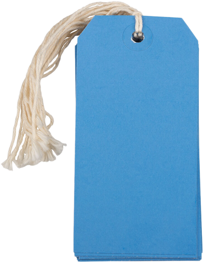 Blue Medium Gift Tags (4 1/4 x 2 3/8) - 10 Pack