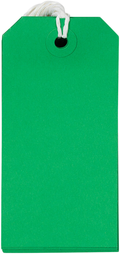 Green Medium Gift Tags (4 1/4 x 2 3/8) - 10 Pack