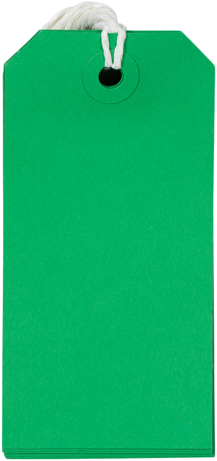Green Medium Gift Tags (4 1/4 x 2 3/8) - 10 Pack
