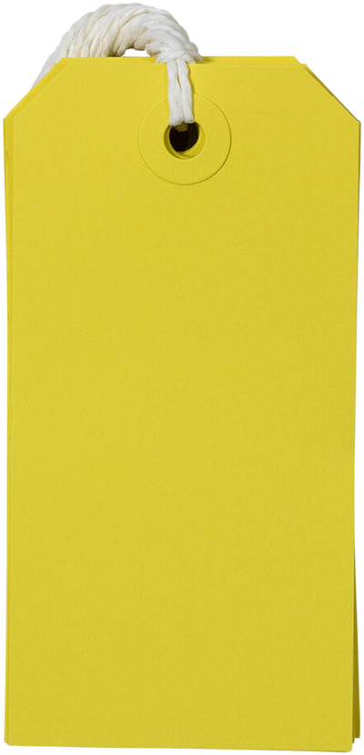 Yellow Medium Gift Tags (4 1/4 x 2 3/8) - 10 Pack