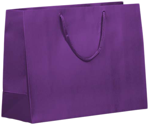 Purple X-Large Matte Horizontal Gift Bags (16 x 12 x 6)