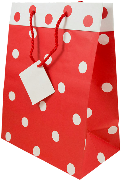 Red and White Polka Dot Large Gift Bags (10 x 13 x 6)