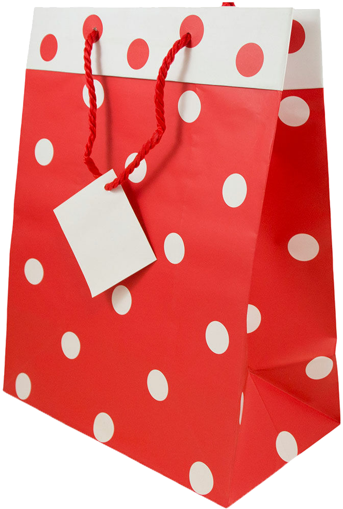 Red and White Polka Dot Large Gift Bags (10 x 13 x 6)