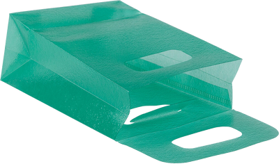 Green Frosted Small Plastic Lunch Bags (3 x 4 x 1 1/2)