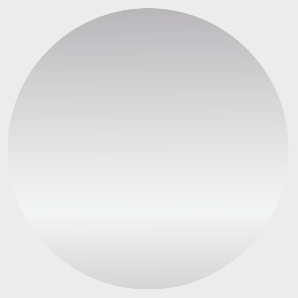 Silver 1 Inch Roll of Circular Round Outdoor Labels - Weather Resistant