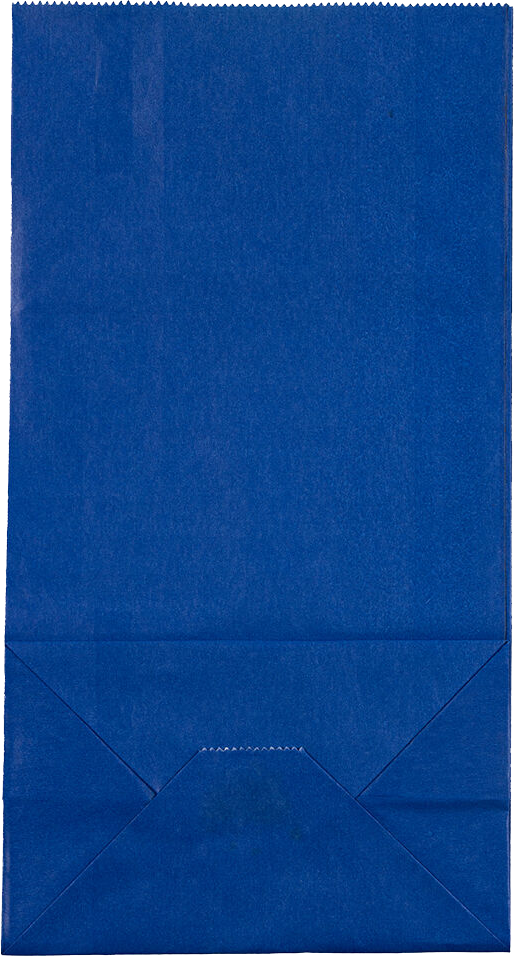 Blue Medium Lunch Bags (5 x 9 3/4 x 3)