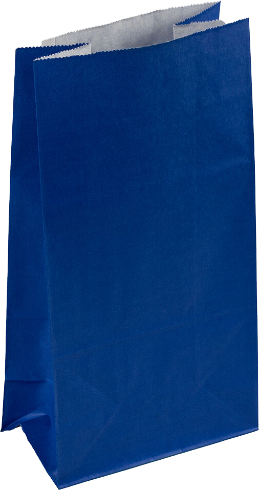Blue Medium Lunch Bags (5 x 9 3/4 x 3)