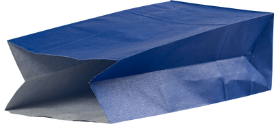 Blue Medium Lunch Bags (5 x 9 3/4 x 3)