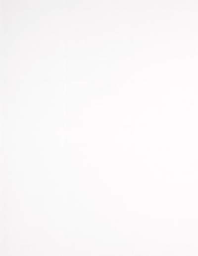White 1 x 2 5/8 Return Address Labels