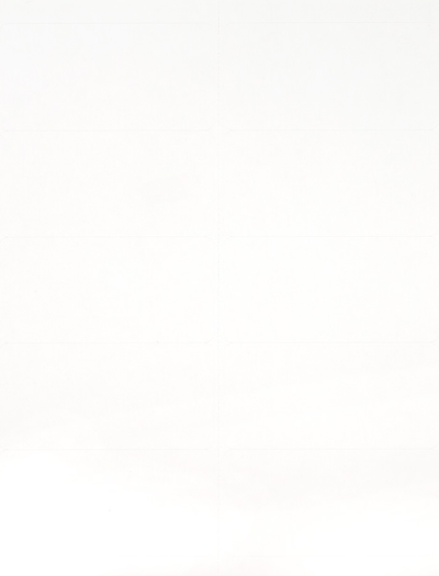 White 2 x 4 Address Labels