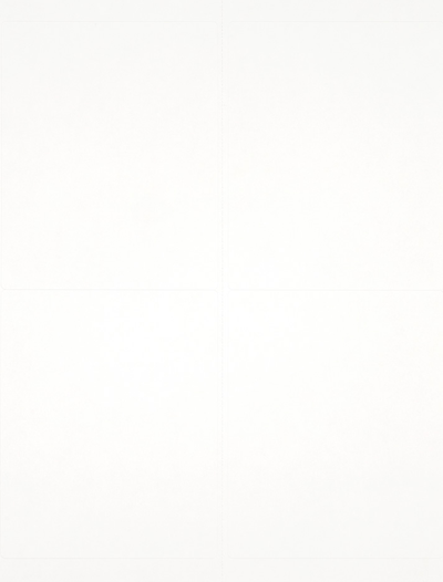 White 4 x 5 Shipping Labels