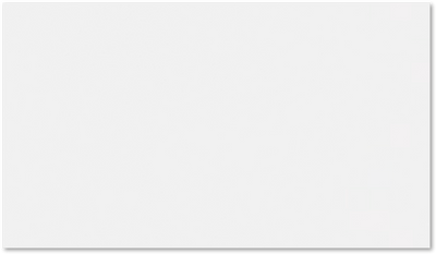 Bright White 80lb 2 x 3 1/2 Flat Business Cards