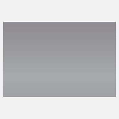 Matte Silver Foil 4 x 6 Inch Roll of Rectangle Labels - Durable