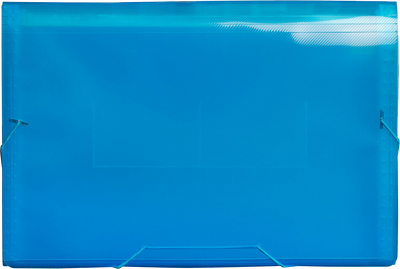 Blue Legal Size 13 Pocket Expanding Files (10 x 15)