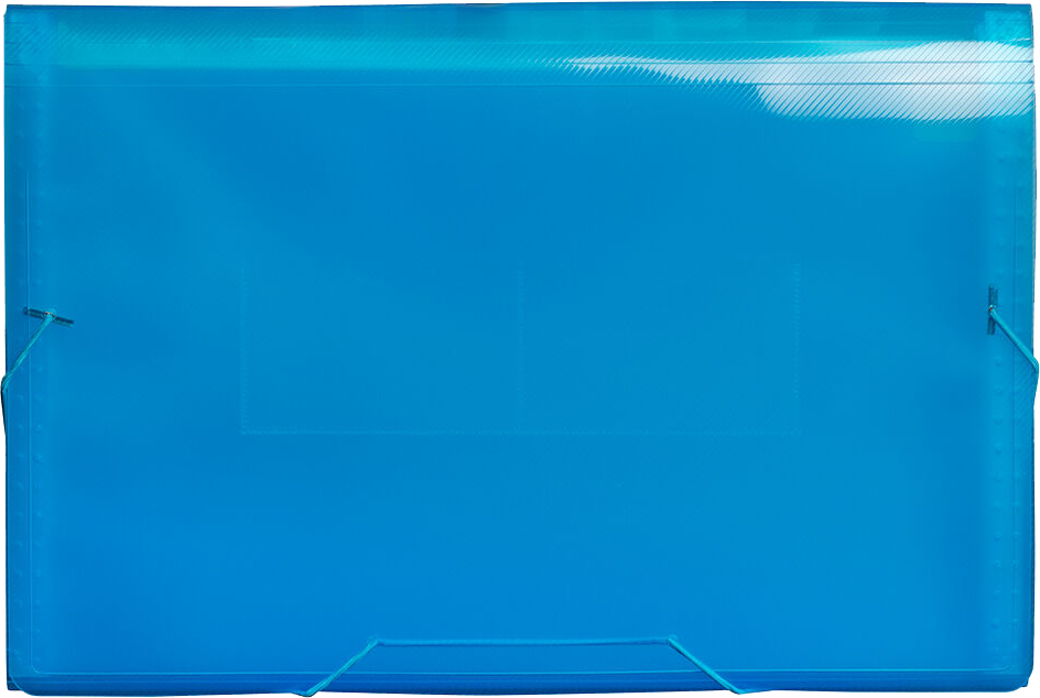 Blue Legal Size 13 Pocket Expanding Files (10 x 15)