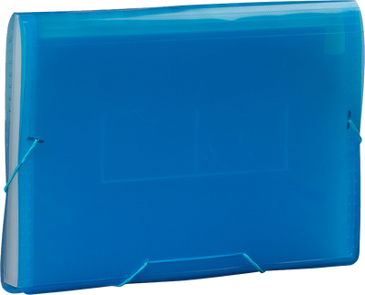 Blue Legal Size 13 Pocket Expanding Files (10 x 15)