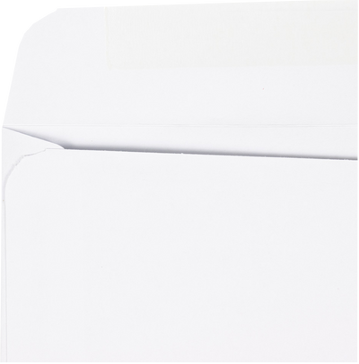 White 24lb 6 x 9 Booklet Envelopes