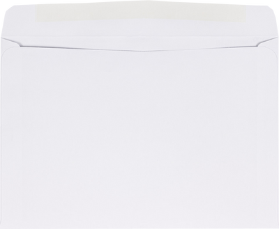 White 24lb 6 1/2 x 9 1/2 Booklet Envelopes