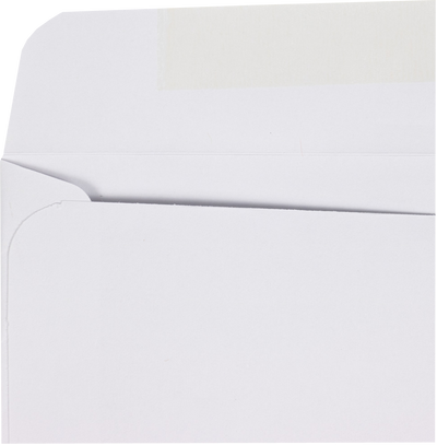 White 24lb 6 1/2 x 9 1/2 Booklet Envelopes