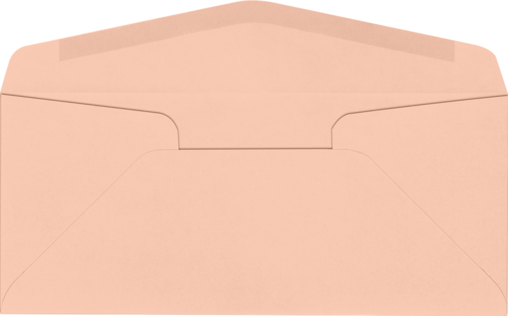 Blush Pink 32lb #10 Regular Envelopes (4 1/8 x 9 1/2)