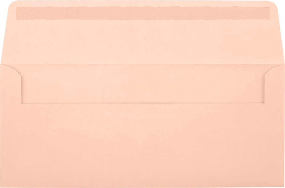 Blush Pink 32lb #10 Window Envelopes (4 1/8 x 9 1/2)