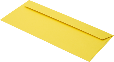 Citrus Yellow 32lb #10 Window Envelopes (4 1/8 x 9 1/2)
