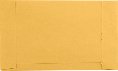 Brown Kraft 28lb Jewelers/Coupon Envelopes (3 5/8 x 6)