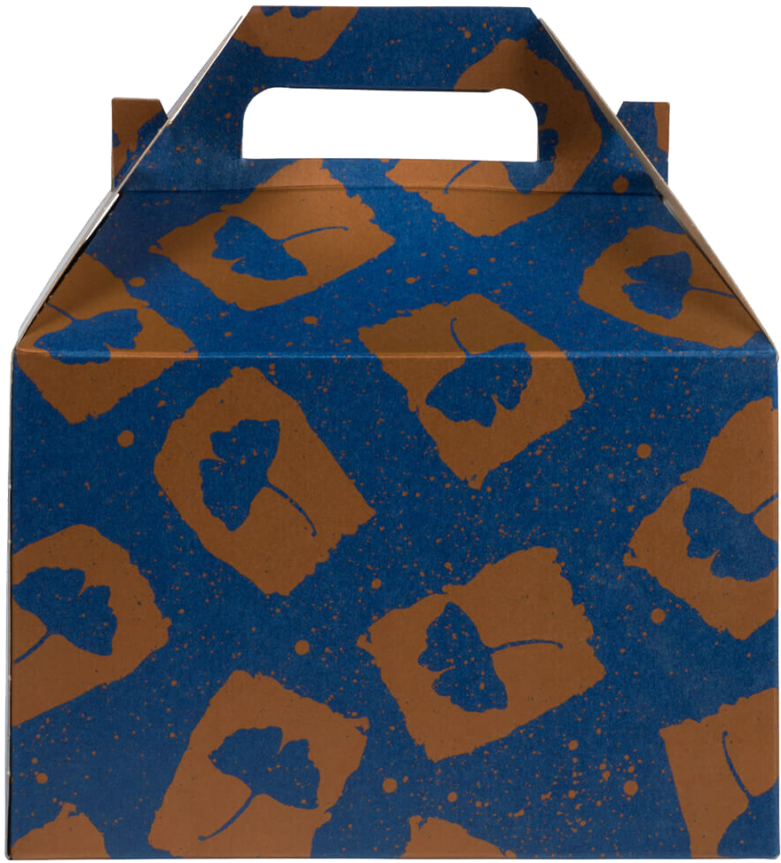 Blue and Orange Splatter Flower Medium Gable Gift Boxes (4 x 8 x 5 1/4)