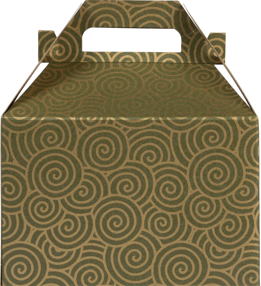 Green with Gold Swirl Medium Gable Gift Boxes (4 x 8 x 5 1/4)
