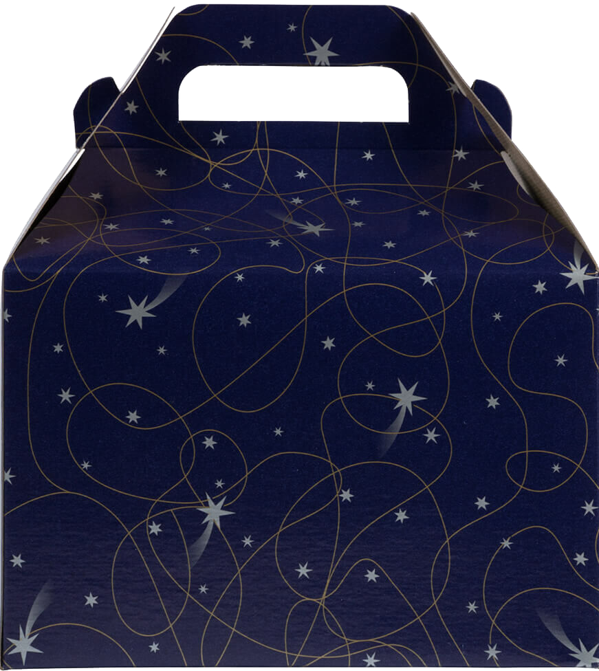 Purple Shooting Stars Medium Gable Gift Boxes (4 x 8 x 5 1/4)