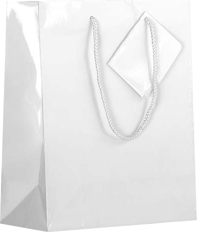 White Medium Glossy Gift Bags (8 x 10 x 4)