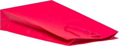 Fuchsia X-Large Matte Vertical Gift Bags (13 x 18 x 4)