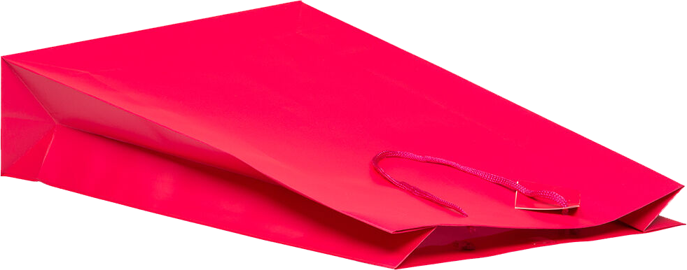 Fuchsia X-Large Matte Vertical Gift Bags (13 x 18 x 4)