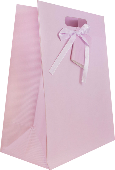 Light Pink Large Pinstripe Gift Bags (10 x 13 x 5)